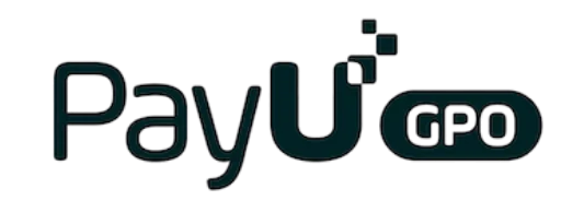PayU, Rapyd partner with seemore data to cut sknowflake data cost success story